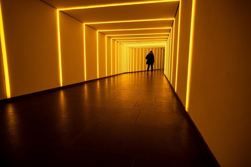 Enchanted Lighting