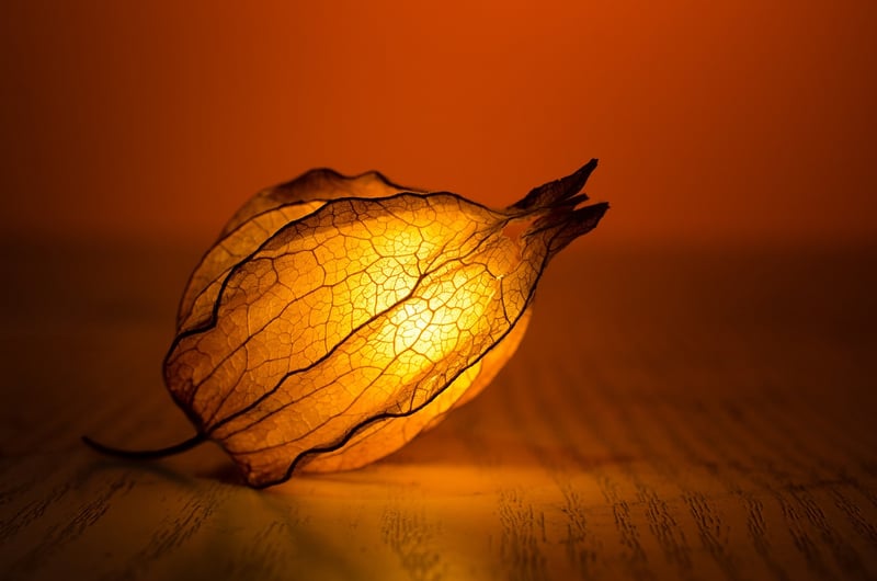 Lanterns